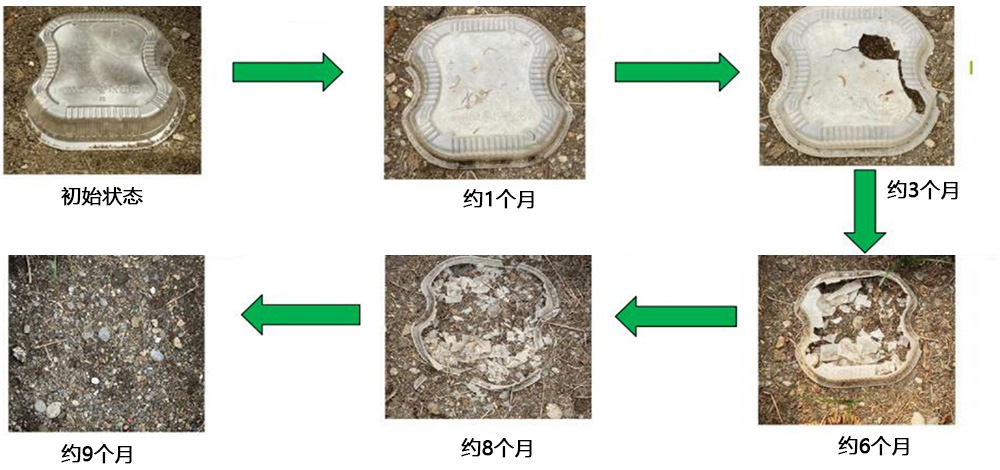 BPP制造的生物降解快餐盒自然环境降解情况