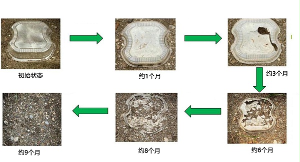 快餐盒实际自然环境降解情况